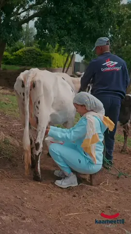 Isa taa’ee ilaaluuf daakuun boqolloo…? Sagantaan imala kaameettii kutaa 3ffaan kaamolee kaameettiin deesse waliin turtii taasifameedha.  Atileet Gazahagn Abarraa waliin qe’ee daawwachaa turtii bareedaa gooneerra. Muuxannoowwan heedduu goonfanneerra.  Namoonni Guutuu sagantaa kanaa hindaawwatin youtube kaameettii podcast irraa daawwadhaa.