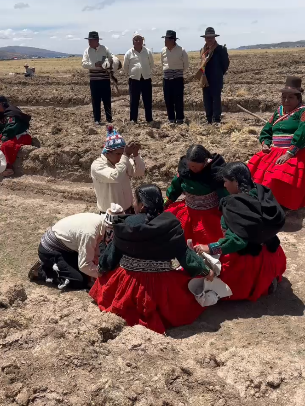 #SIEMBRA #PAPA #WARU_WARU #CULTA