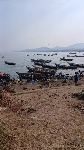 #cleanlake #lakevictoria #fyp #fypviralシ #nature 