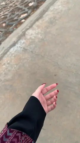 فيّد تسليك ، طلعوه أكسبلور .  #555 