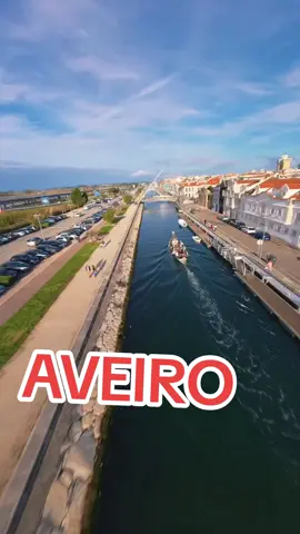 #Foryou #foryoupage❤️❤️ #TikTokPortugal #foryour #FypPortugal 