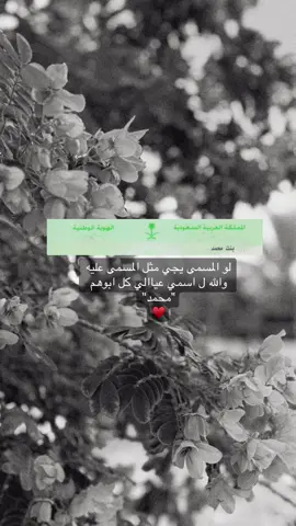 بنت محمد ♥️ #اكسبلور #CapCut #الرياض #السعودية #محمد 