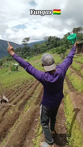 #yungas #sigueadelante #trabaja #yungasbolivia🇧🇴 #paratiiii 
