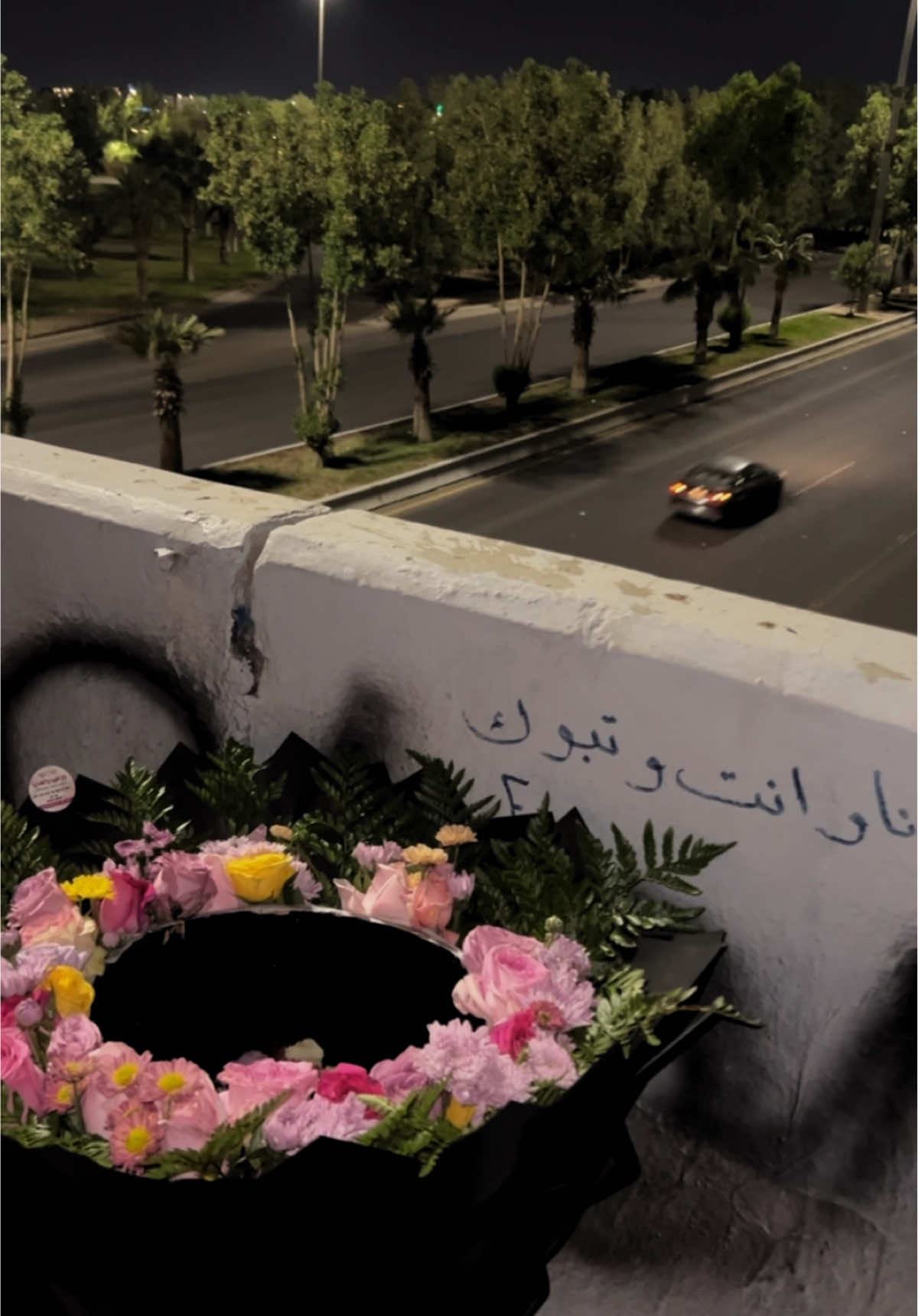 انـا و انـت وتـبـوك 🩷 #foryou #تبوك #اكسبلور #explore #tabuk #tabuk #viral #exp #جديد_تبوك #تبوك_الان #ورد #المطار #مطار_تبوك #