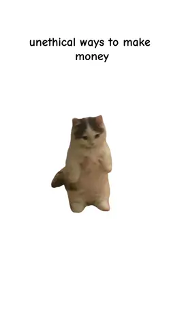 Want to make some easy bucks? #cats #catanimation #explainedbycats #catsofttiktok #fyp 