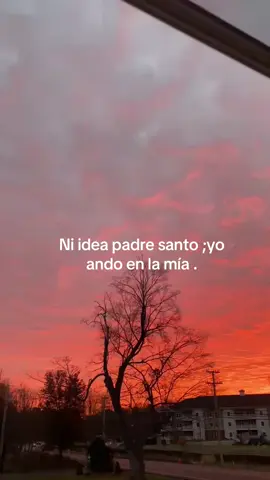 #paratiiiiiiiiiiiiiiiiiiiiiiiiiiiiiii #fyppppppppppppppppppppppp #goodvibes 