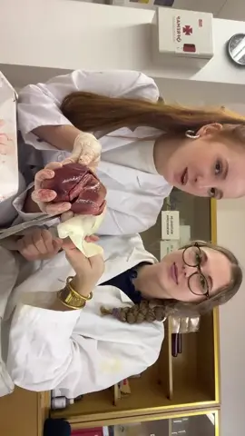 prime #corazon #carlabojos 