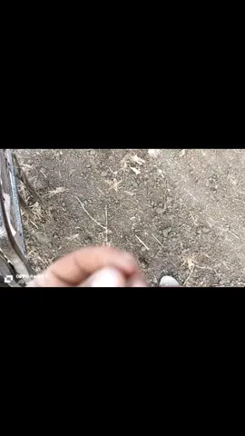 #الدولي #لتجهيز #الحفلات 