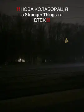 #дивнідива #strangerthings #strangerthings5 