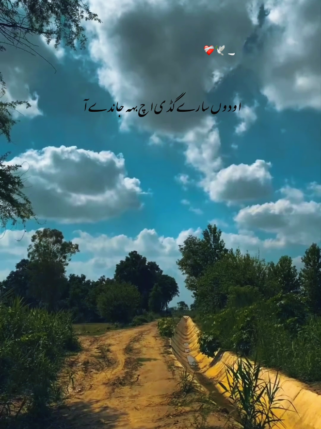 🥀ماڑے وقت اچ ۔۔۔۔ #foryou #foryourpages #poetry #aesthetic #poetrystatus 