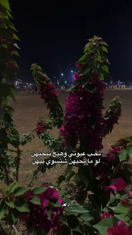 #رعد_ال_حردان🙋‍♂️ #عامريه_الصمود 