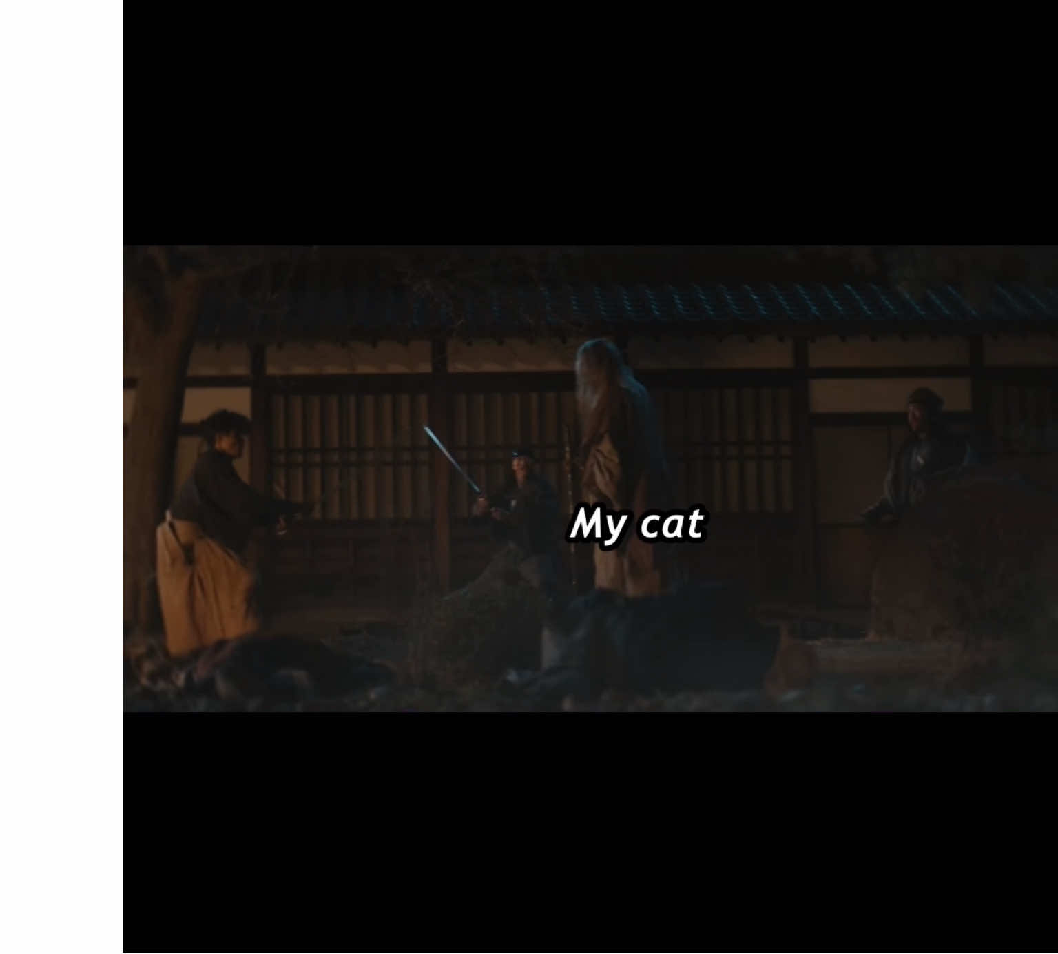 Why is she like this…? #cats #lastsamuraistanding #gentosai #netflix 