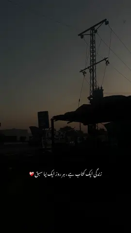 ❤️‍🩹 | #elsie_69 #fyp #fypシ #urdupetry #viral 