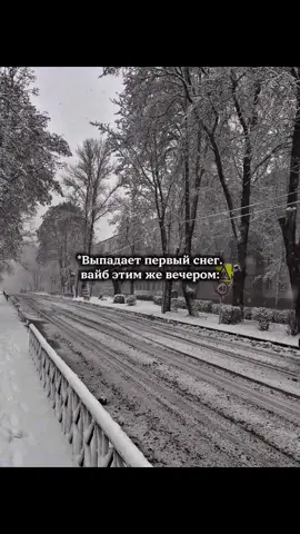 Вайб на всю зиму активирован ✅ #winter #2026