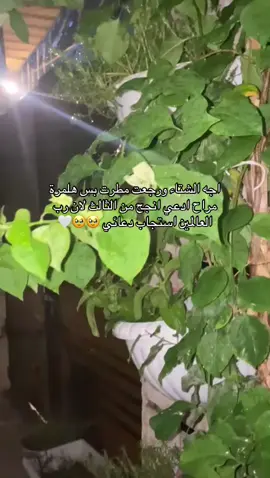 الحمدلله والشكر دائماً وأبدا 🥹🤍🤍🤍#اكسبلورexplore #مالي_خلق_احط_هاشتاقات #شتاء #الثالث_متوسط #رابع_علمي 