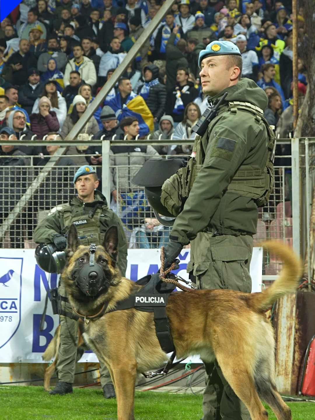 Atmosferă frumoasă înainte de Bosnia - România. Fanii celor două echipe au umplut stadionul, soldații bosniaci și câinii de pază sunt pe gazon #bosnia #romania