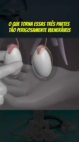 #saudemental #anatomia #saude #bemestar #corpo 