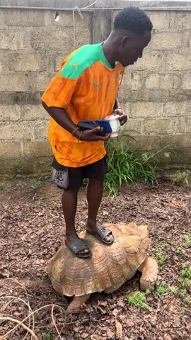 Nous allons chercher nom avant de mourir et la vie continue 🌹🌹🌹🌹