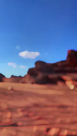 #نيوم _محمية بجده 