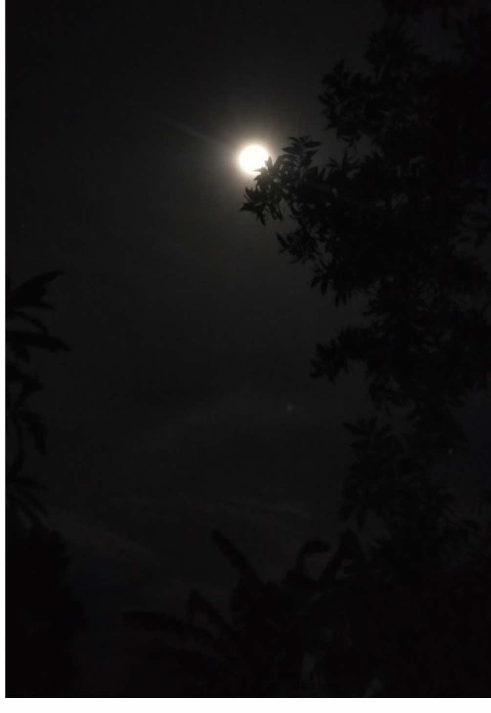 2yearsold nalunod sa kanal, patay. 💔😢 Umalis saglit yung Lolo para bumili ng bigas, habang yung Lola ay namamahinga dahil may sakit. Pag balik nya, hindi na nya makita apo nya. Hanggang sa hinanap nila at natagpuan na nalulunod sa kanal. Binawian rin agad ng buhay. 💔 Sobrang sakit nito. #fyp #viral #viralvideo #foryou 