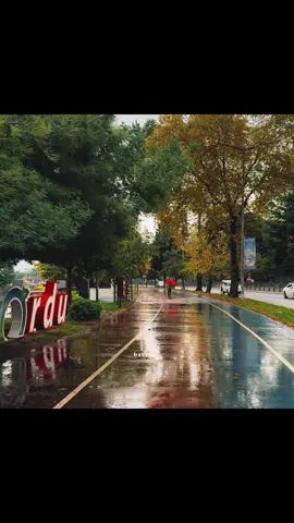 Her şeyi hallederim zannettim. #alıntı 