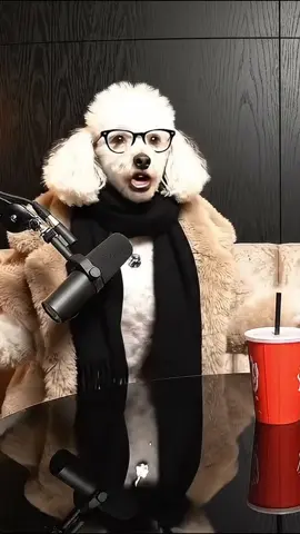 Do all guys like beagles or what😭 #usatiktok🇺🇸 #dogpodcast #funnydogs #doghumor #barkafterdark 