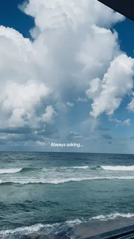 #goviral #fyp #foruyou #fypシ゚ 