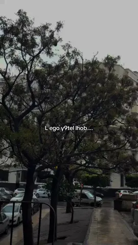 #fypppppppppppppp #fyp #viral #pourtoi #reposteria 