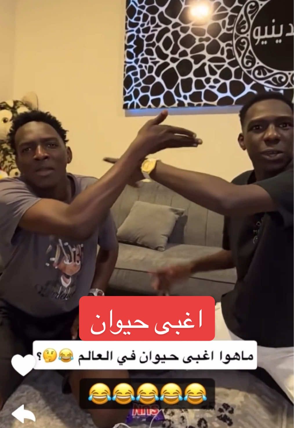 اغبى حيوان 🤣 #مقالب #ضحك #fyp 