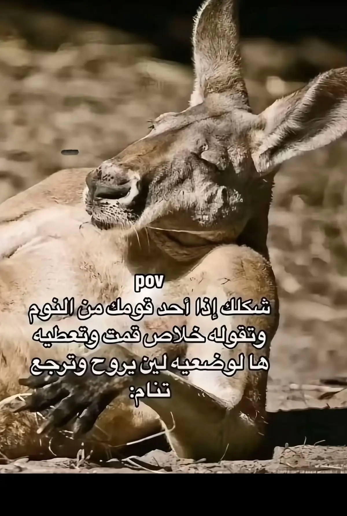 #fyp #المدينه_المنوره #رياكشن #اكسبلور #ياسر🇸🇦 