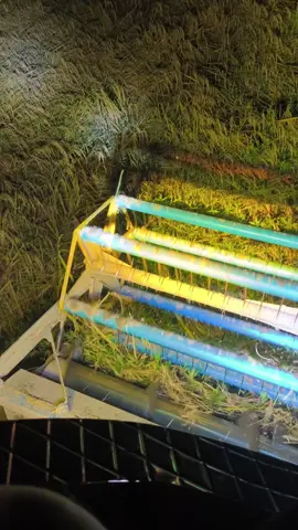 2016 - 2025#ศุภกรเจริญการช่าง #กอล์ฟบริการ #สุภาพทรัพย์รุ่งเรือง #ท้ายป่าช้า👻🌪🖤 