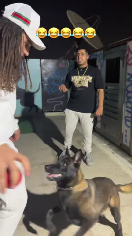 أنا مش قادر 😂😂😂😂😂#محمود_موزه @الكروان مشاكل 