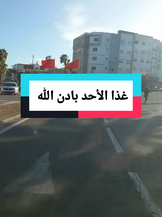 #الله #القدس  #القران_الكريم  #مساء_الخير  #فرنسا🇨🇵_بلجيكا🇧🇪_المانيا🇩🇪_اسبانيا🇪🇸  غذا الأحد بادن الله تجيك فرحة ربانية بسبب نشرك للقرأن وكتابة يارب 