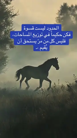 #الحدود ليست قسوة فكن حكيماً في توزيع المساحات، فليس كل من مرّ يستحق أن يٌقيم ،.#خواطرواقتباسات #🇸🇦 #🇮🇶 #🇾🇪