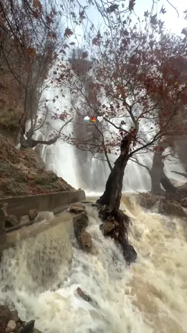 🍁🌧️…#fyp #اجواء_الشتاء #مطر #autumn #foryoupage 