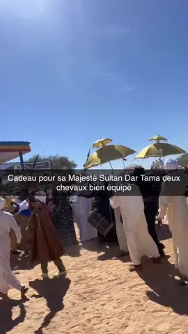 Tous les Sultan du Tchad présent aujourd'hui pour la cérémonie l'intronisation de sa Majesté Sultan Dar Zakhawa🥰👍🏼👍🏼👍🏼💯💯