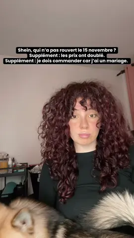 Alors @SHEIN France vous revenez quand ? J’ai fait un panier 5 articles 180€ on est où là 😅 #girls #shein #shein15novembre #fyp 
