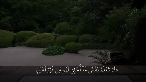 #ياسر_الدوسري #سورة_السجدة #قران #اجر_لي_ولكم #v_hs8 