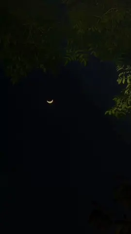 @🌚🤍 #گوهداربـــــــــــە🤍 😓🤍…