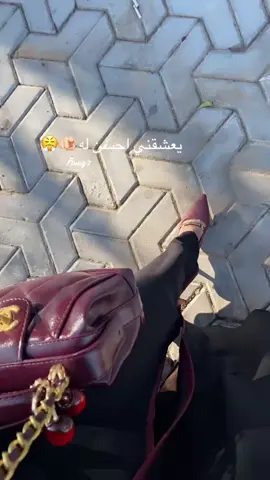 #اكسبلورexplore #الانتشار_السريع #حايلندا 