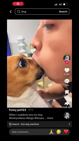 Why are some dog owners like this? #refmike #dog #pet 