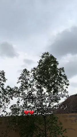 #الفقدان_اصعب_شي_في_الحياة 