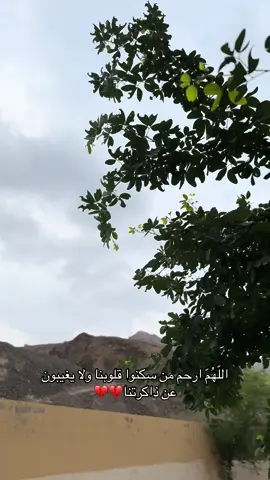 #الفقدان_اصعب_شي_في_الحياة 