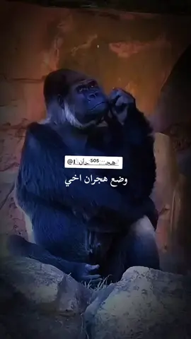 #عبارت_جميله_وقويه😉🖤 #مجرد________ذووووووق🎶🎵💞 #اليمن🇾🇪المملكة🇸🇦_عمان🇴🇲_الاردن🇯🇴ليبيا #اليمن🇾🇪المملكة🇸🇦 