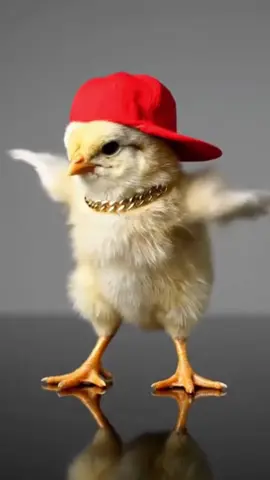 May I have your attention, please? May I have your attention, please? Will the real Slim Shady please stand up? I repeat. Will the real Slim ... #viral #fyp #chickendance #viral_video #eminem 