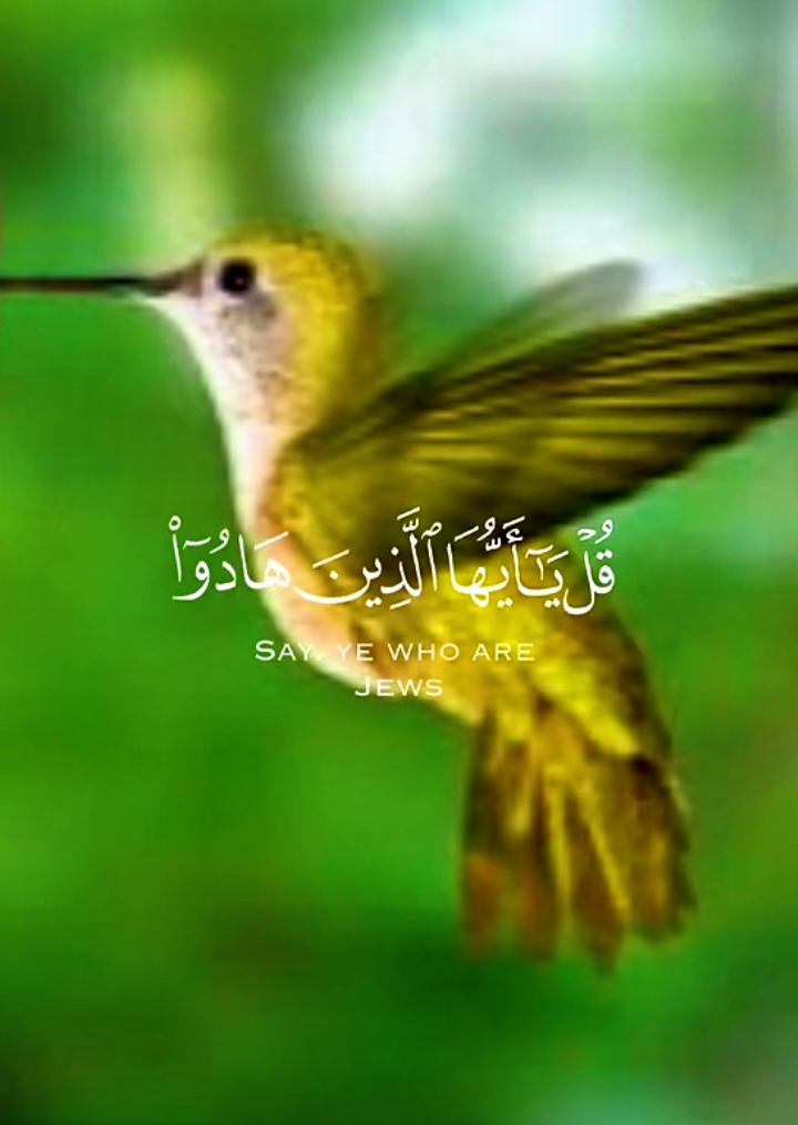 القران الكريم راحت البال والنفس والروح والقلب اجمل ما في الحياة الدنيا هوا كلام الله تعالى وبركاته ❤#CapCut #fybシ #متابعه #القران_الكريم #راحة_نفسية 