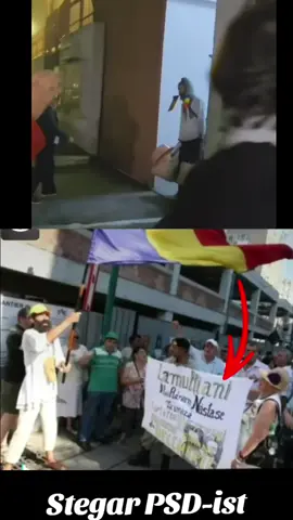 #foryou #borfasii #romania🇷🇴 #Viral 