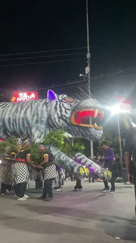 Djajati Persik Kediri Kontingen Persik Mania di DNC tadi malam #dhohonightcarnival #dnc2025 #persik #persikkediri #kediri24jam 