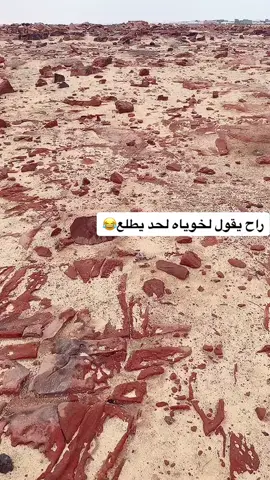 #فيهذااليوم 