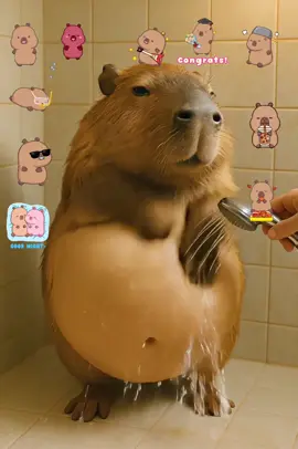 #capybara #funny #peace #Ai #blessings 